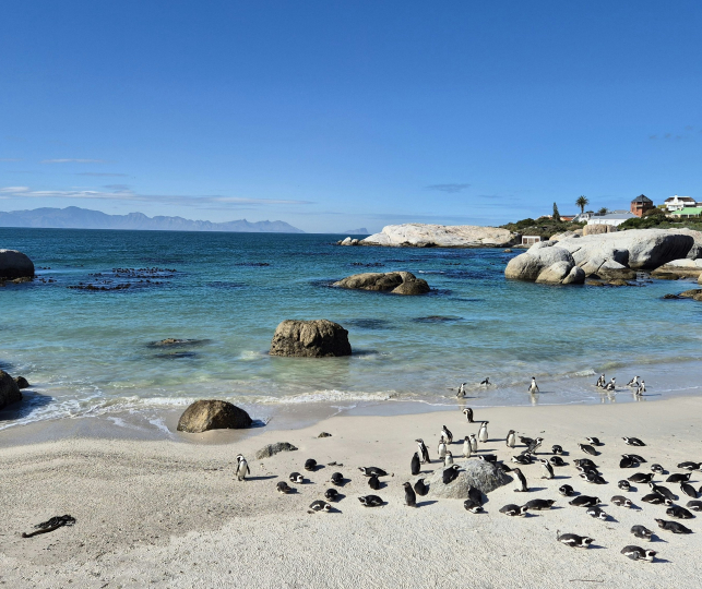 Boulders Beach